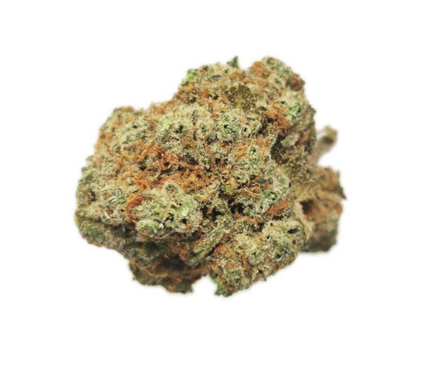 bourgeon de metor super citron haze