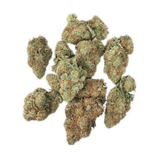 super lemon haze weed strain