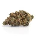 purple haze strain