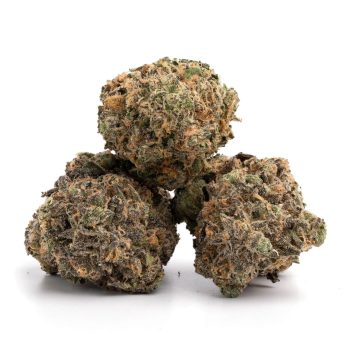 purple haze strain 3 buds