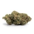 gelato strain 1 bud