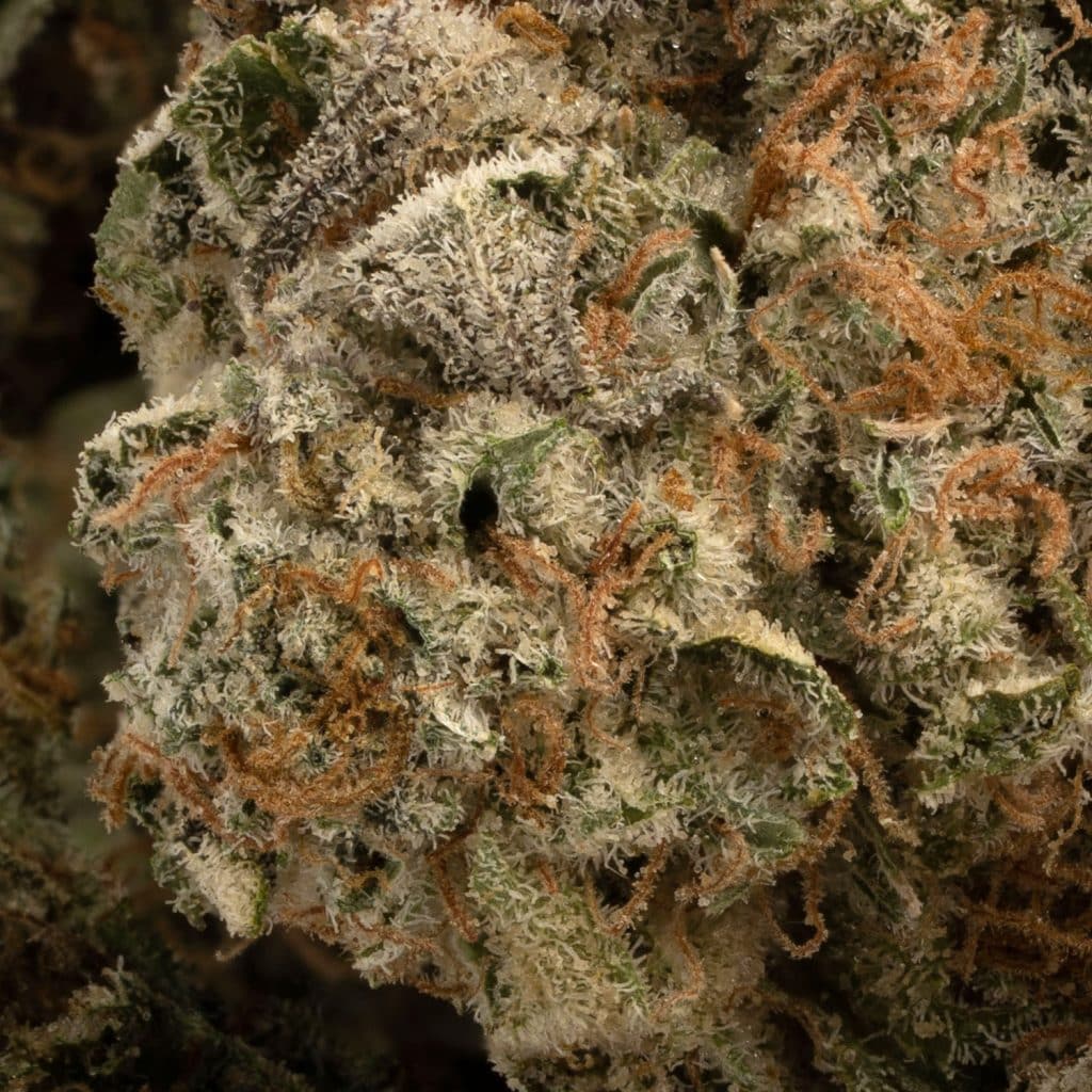 Buy AAA+ Grease Monkey (Indica) Online Canada BC Weed Edible