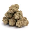 bourgeons mk ultra