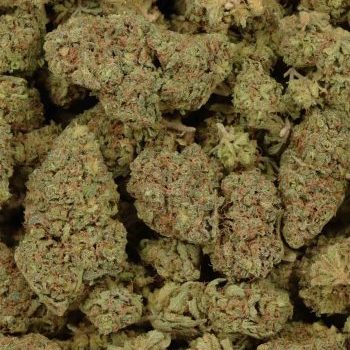 purple lightning bulk