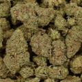 purple lightning bulk