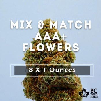 miz match half pound aaa flowers