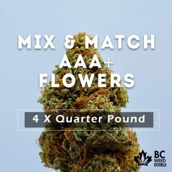 mix match pound weed aaa plus flowers