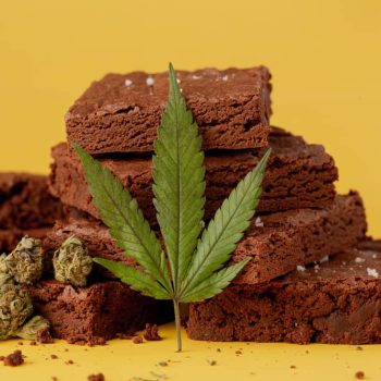 weed brownie with cannabis leaf and dried marijuana flowers