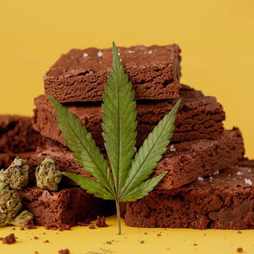 weed brownie with cannabis leaf and dried marijuana flowers