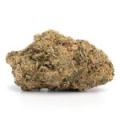 AAA+ MK Ultra (Indica)