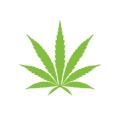 sativa edibles