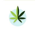 thc edibles