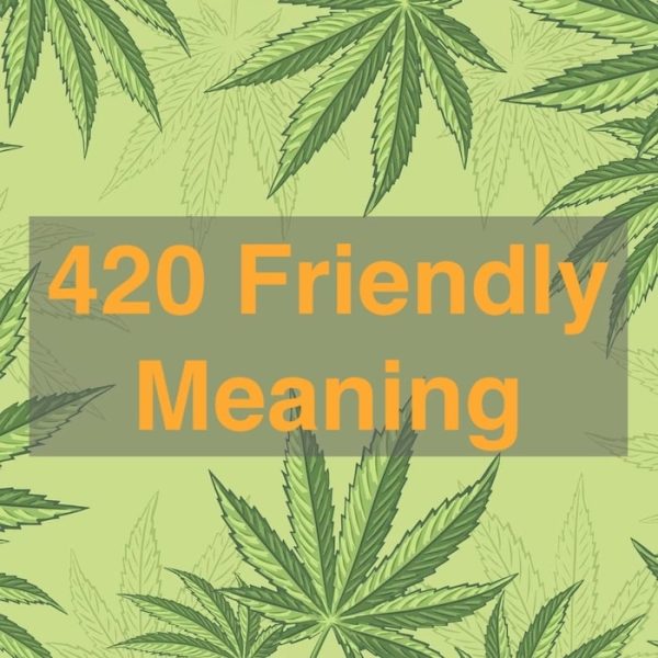 What does 420 Friendly Mean? 2026 | BC Weed Edible