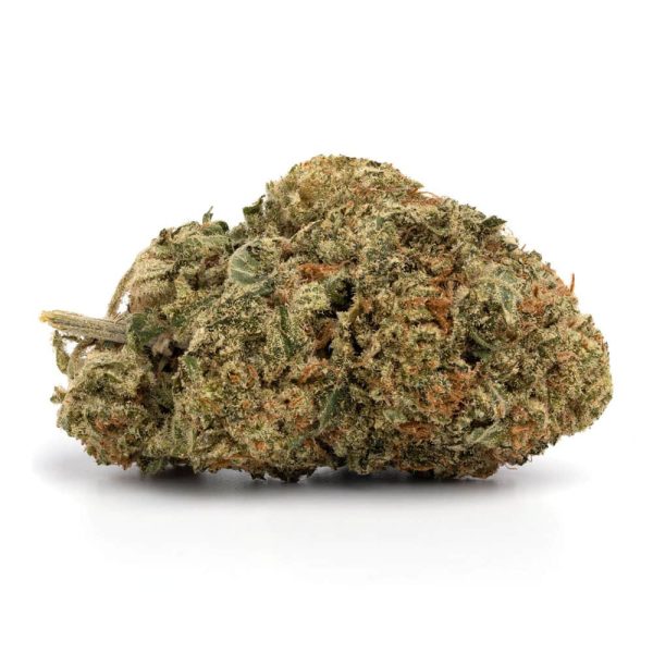 blueberry pie